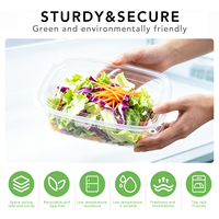 Boîte à charnières en PET transparent pour boulangerie, idéale pour les buffets de petit-déjeuner d'hôtel, croissants, muffins danois, traiteur, emballage à emporter, vente en gros, personnalisation OEM