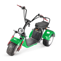 Scooter Eléctrico de 3 Ruedas Citycoco 2026 de 3000w/4000w con Dos Baterías Extraíbles de 60v40H/20AH / Triciclo Eléctrico