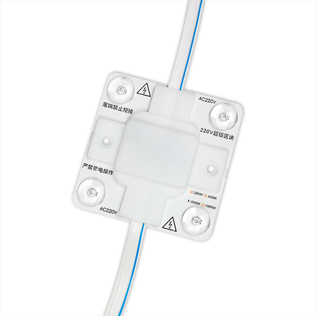 IP20 CE ROH 4W High Brightness LED Module Light AC220V Best for Soft Film Ceiling Light Box and Very Hot in World