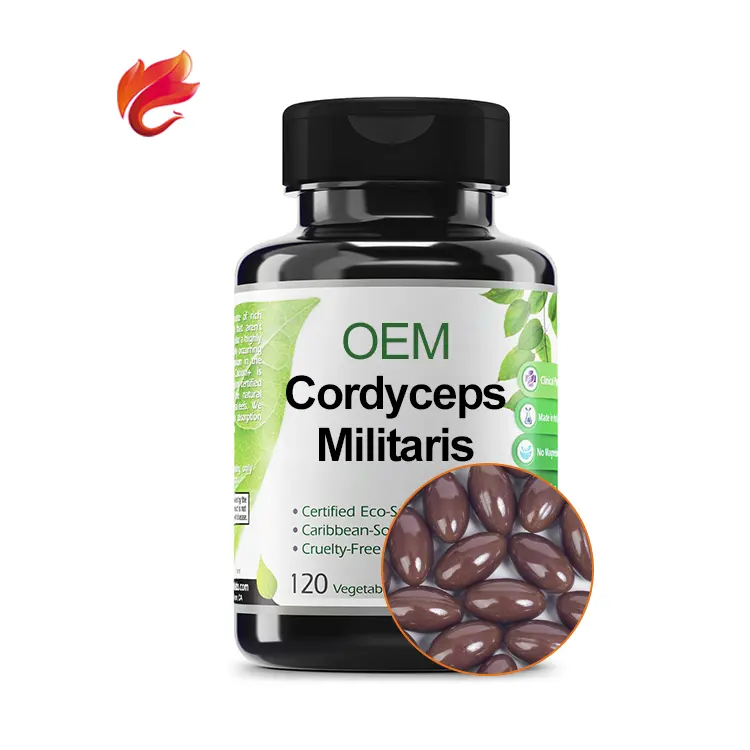 Böbrek tonik Cordyceps Militaris özü Softgels yumuşak jeller kapsül OEM 500Mg Private Label