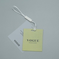 Étiquette de vêtement personnalisée avec logo imprimé, étiquette en papier pour vêtements, étiquette suspendue avec cordon en plastique écologique pour vêtements