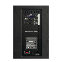 ACC AC21-Bass Enceinte colonne active PA avec subwoofer 12 pouces, amplificateur classe D, enceinte audio professionnelle, subwoofers amplifiés