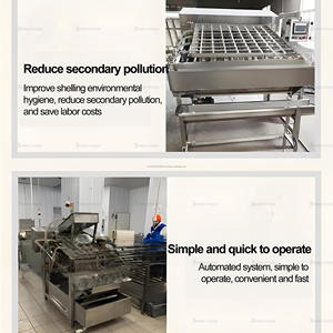 Machine à éplucher les crevettes à prix compétitif en acier inoxydable Machine professionnelle à enlever les coquilles de crevettes - Product Image 3