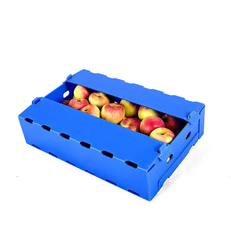 Fábrica al por mayor caja de plástico corrugado para frutas caja de plástico para embalaje de frutas