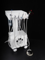 BL 610F Station de Compresseur d'Air pour Unité Dentaire Vétérinaire 550W Sans Huile Silencieuse avec Réservoir 10L, Scaler LED Intégré et Unité de Photopolymérisation