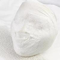 Masque liftant en plâtre de gypse à la vitamine C, marque privée OEM, professionnel pour le contour du visage en V et du nez, masque en feuille type momie, vente en gros pour SPA