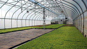 Fabricants de serres tunnel, fournisseurs de serres automatisées, kits de serres clés en main de Chine - Product Image 2