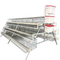 Meilleur prix pour poulailler, poulets de chair, cage à œufs, cage à poules pondeuses pour vente en ferme avicole
