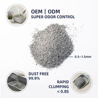 Litière pour chat en bentonite ISO MSDS sans poussière, antibactérienne, à agglomération dure, sable pour chat en vrac, échantillon gratuit, OEM ODM Export