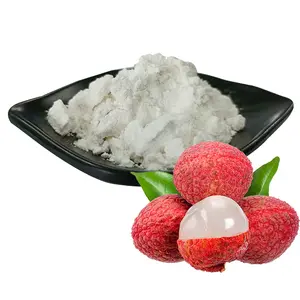 Top Selling Litchi Chinensis Fruit Extract Powder Lychee Powder