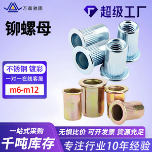 น็อตวานเชน M10 เหล็กกล้าคาร์บอนชุบสังกะสี เกรด A สำหรับอุตสาหกรรมก่อสร้าง - Product Image 4
