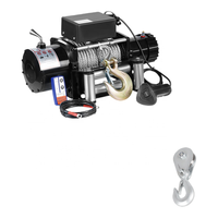 Mini grue de levage portable montée sur camion, capacité de 1000 kg, source d'alimentation électrique, tension 12 V, câble en acier