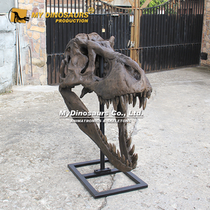 Crâne de Tyrannosaurus Rex réaliste fait main pour l'exposition du Musée d'histoire <span class=keywords><strong>naturelle</strong></span> My Dino - Product Image 4