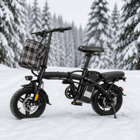 Vélo électrique pliable pour adultes, moteur 250W, norme CE EN15194 DOC, vitesse maximale 25 km/h, batterie lithium 48V 12Ah, version cadre rigide