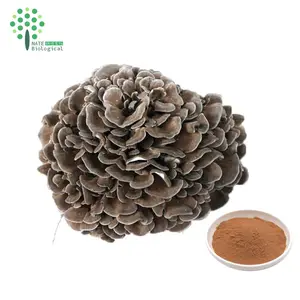 Organic Grifola Frondosa Extract Powder Maitake Mushroom Extract