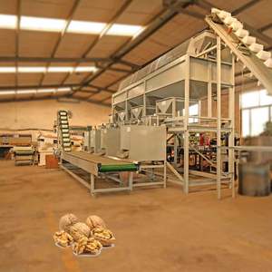 Máquina de craqueo de nueces de nuevo diseño, máquina de craqueo de nueces de almendras crudas, línea de producción de nueces - Product Image 4