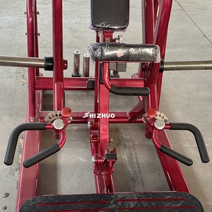 Shizhuo thể hình thiết bị tập thể dục Tấm nạp bentover Hàng selectorized thép trở lại máy mở rộng - Product Image 3