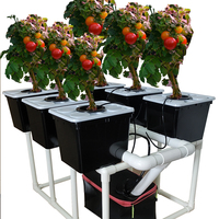 Lengkap sistem Bucket Belanda dengan 6 pot tanaman berdiri pompa tangki irigasi tetes untuk tumbuh tomat
