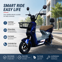 Vélo électrique personnalisé en usine, scooter électrique 500W, vélo électrique à pneus à vide pour adultes