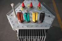 Transformateur de puissance immergé dans l'huile triphasé multi-enroulements Wanbo-94 50/60Hz 630kVA 800kVA 1000kVA 11kV/22kV 400V/230V pour l'alimentation électrique