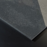 Carreaux de porcelaine chinois à solubilisation de sel et double chargement 60 x 60 / 60 x 120 cm pour sols