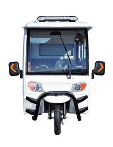 Consegna del carico <span class=keywords><strong>3</strong></span> ruote Elettrico Tricicli Con Isolamento di Trasporto per la Vendita - Product Image 4