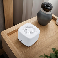 Machine de sommeil à bruit blanc rechargeable Haut-parleur portable Batterie 500mAh 15-20 heures de vie Sons apaisants Cadeau de santé intelligent