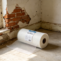Rete in Fibra di Vetro di Grado Standard, Rete in Fibra di Vetro per Uso Generale in Edilizia, Rotolo di Rete in Fibra di Vetro, Fornitura OEM del Produttore