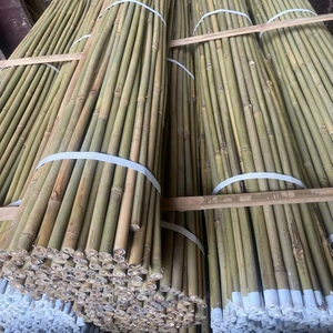 Estacas de Bambú Seco para Soporte de Plantas en Invernaderos, Varillas de Bambú de Diámetro Pequeño para Uso Agrícola - Product Image 1