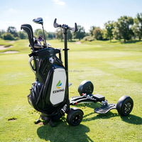 Fabricant OEM de scooters de golf électriques, chariots de golf, buggies de golf, voitures de golf 1600W 48V, fournisseur en gros d'usine d'origine