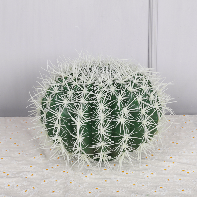 เส้นผ่านศูนย์กลาง 25 ซม