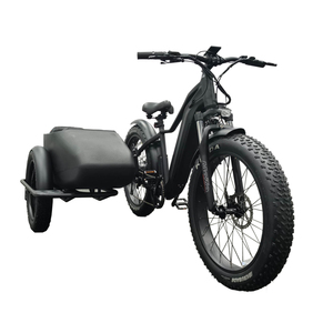 Scooter électrique Offre Spéciale 250W 500w 48V 10AH batterie 3 roues avec voiture latérale croiseur de plage vélo électrique chopper vélo <span class=keywords><strong>side</strong></span>-<span class=keywords><strong>car</strong></span> d'<span class=keywords><strong>occasion</strong></span> - Product Image 2