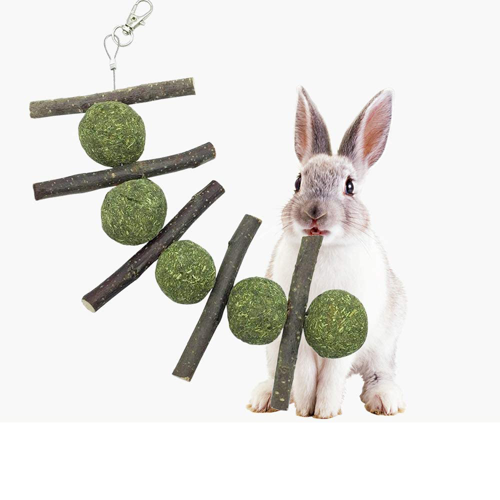 Новый дизайн, оптовая продажа, дополнительное питание, здоровые зубы, маленькие животные, зубы, лепестки, травяные шарики