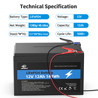 Melasta Wiederaufladbare Solar-Lithium-Eisenphosphat-Batterie zum Fabrikpreis, Tiefzyklus 12,8V 12Ah LiFePO4-Batterie für Boote
