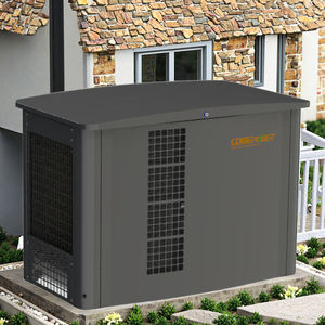 एपा एडेल ने 15kw 20kw पानी ठंडा साइलेंट प्रकार स्टैंडबाय पावर प्राकृतिक गैस एलपीजी जनरेटर को घर के उपयोग के लिए सेट किया - Product Image 2