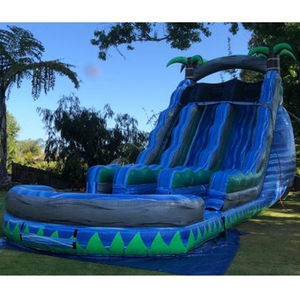 Doul Lanes Water <strong>Slides</strong> <strong>Swimming</strong> <strong>Pool</strong> Water <strong>Slides</strong> Inflatable for Kids and Adults Inflatable <strong>Slide</strong> - Product Image 1