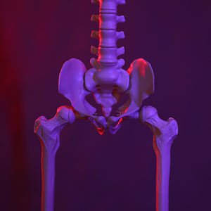 Decoração de Halloween com Esqueleto Humano Simulado para Festa em Casa de Terror - Product Image 2