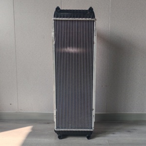 볼보 냉각 라디에이터 물 탱크 냉각기에 대한 공장 Ec200d/210d 가격 굴삭기 예비 부품 17424334