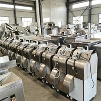 Commerciële elektrische snijmachine Radijsensnijder Aardappelversnipperaar Groenteverwerkingsmes Snackvoedsel