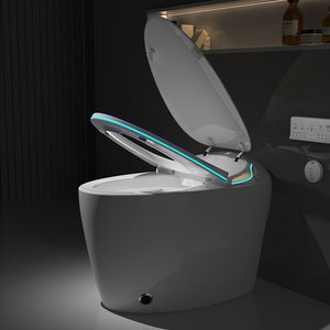 WC Intelligente di Tendenza in Europa e America, Toilette Smart, Prodotti per la Casa Intelligente, Inodori Intelligenti - Product Image 2