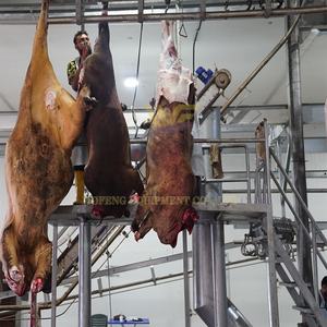Machine d'abattage automatique <span class=keywords><strong>de</strong></span> bétail, équipement moderne <span class=keywords><strong>de</strong></span> transformation <span class=keywords><strong>de</strong></span> la viande bovine, fournisseur d'équipements d'abattage du bétail - Product Image 6