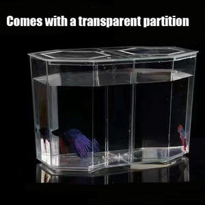 Caja de peces de lucha doble en forma de <span class=keywords><strong>diamante</strong></span> perforado de alta transparencia Caja de aislamiento de pecera de lucha caja de eclosión - Product Image 5