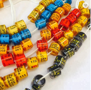 2020 Postduif Loft - Product Image 2