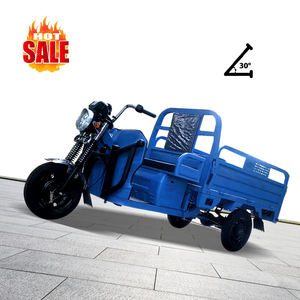 Véhicule utilitaire électrique robuste 1000W, camion à trois roues à grande vitesse, tricycle <span class=keywords><strong>de</strong></span> transport <span class=keywords><strong>de</strong></span> marchandises 1,7m 1,8m avec moteur 1000W et caisse <span class=keywords><strong>de</strong></span> chargement - Product Image 3
