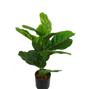 2024 뜨거운 판매 인공 식물 ficus Pandurata 냄비와 핸스 나무 - Product Image 5