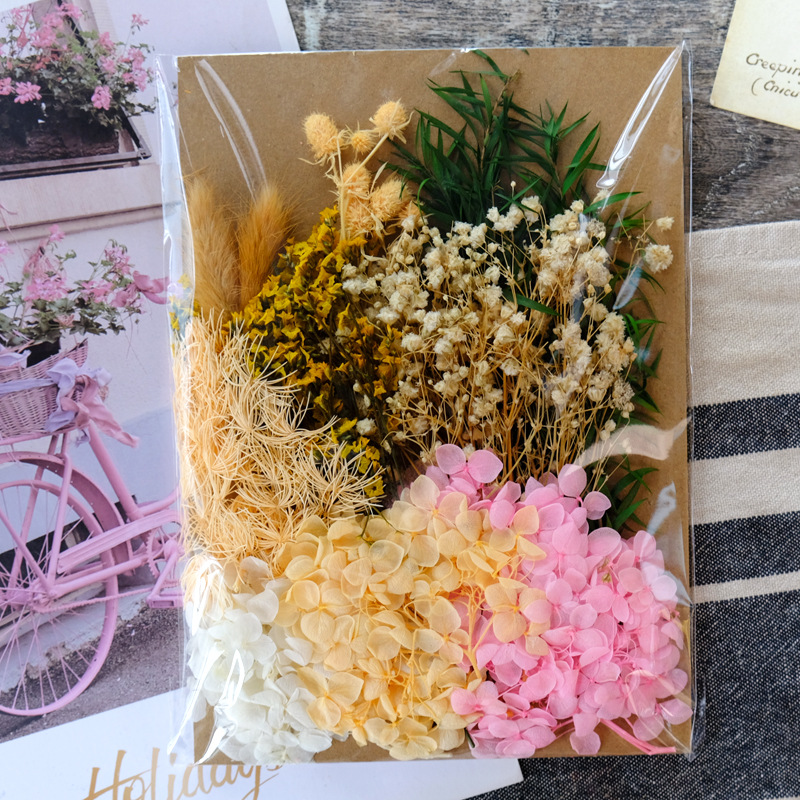 Fleur séchée#12