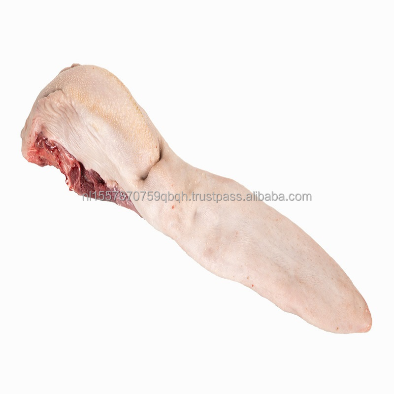 Frozen Beef Tongue Fresh Chilled Export Quality Beef Tongue Nutritious Frozen Buffalo Meat from India