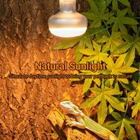 REPTIZOO Lampe chauffante pour reptiles 100W, ampoule UVA pour bain de soleil, lumière du soleil naturelle simulée pour dragon barbu, tortue et lézard