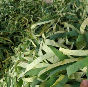 Nuove strisce naturali di foglie di loto a fette di colore verde - Product Image 3