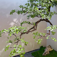 Arbre fleuri suspendu simulé pour décoration murale et plafond intérieure